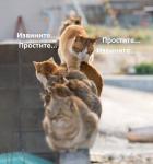 Аватара пользователя