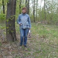 Аватара пользователя