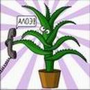 Аватара пользователя