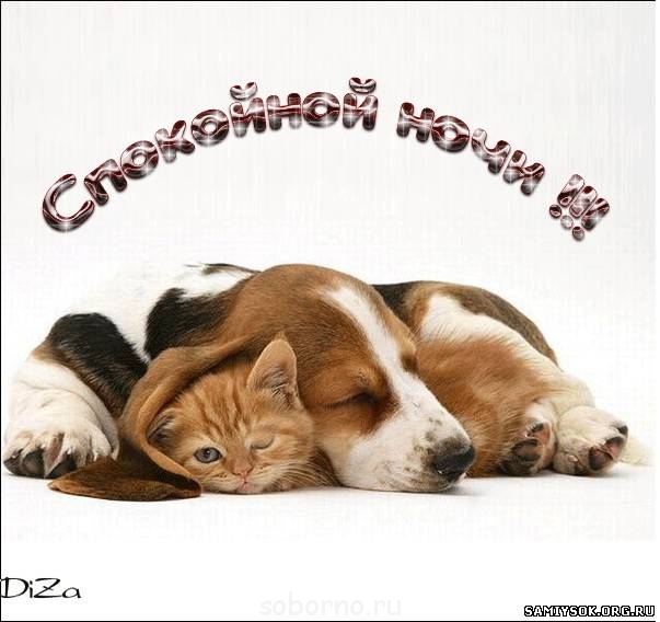 Доброе утро и Спокойной ночи - 94841844.jpg