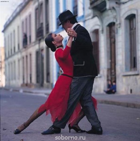 БАЛ-МАСКАРАД  - petsklub.ru.jpg