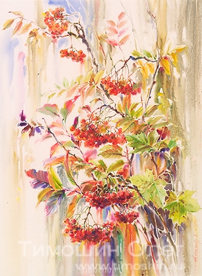 АКВАРЕЛЬ - 20.jpg