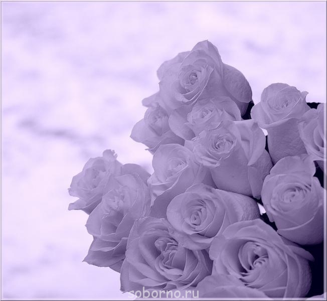 Фуршет по поводу - Розы.jpg