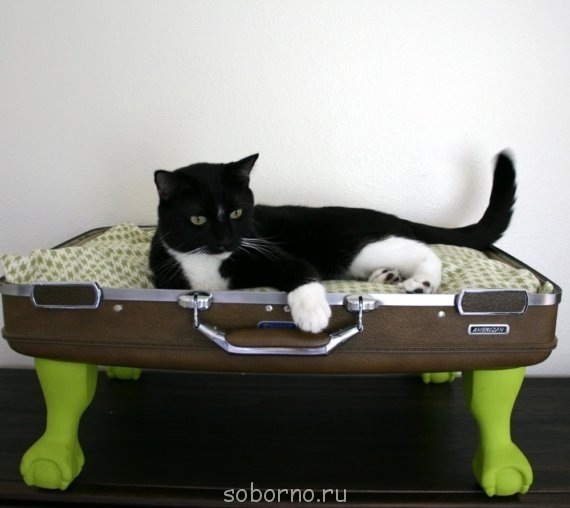 Рога и копыта, весёлая ЗоОфЛуДиЛьНя  - x_5f680bb4.jpg