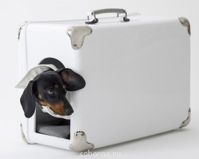 Рога и копыта, весёлая ЗоОфЛуДиЛьНя  - x_16efb1c7.jpg