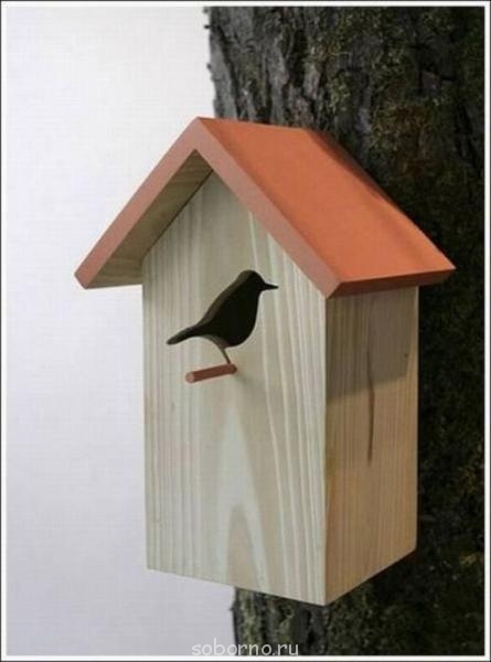 Рога и копыта, весёлая ЗоОфЛуДиЛьНя  - y_fcc34bde.jpg