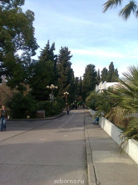 Каждая погода - благодать... - Фото1184.jpg