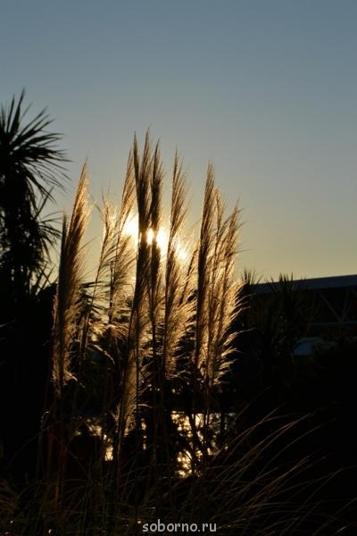 Готовимся к Рождеству - y_bda94fdb.jpg