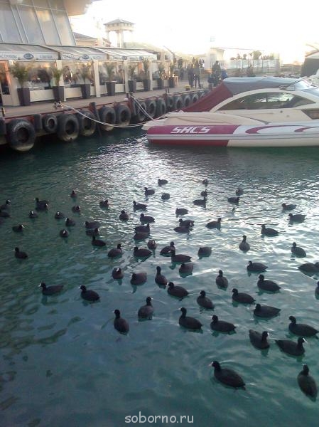 Каждая погода - благодать... - Фото1231.jpg