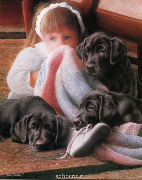 Художники рисуют животных - x_97d4a985.jpg