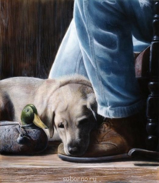 Художники рисуют животных - x_96336fcb.jpg