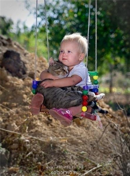 Они такие забавные смешные фото и видео - x_e11408e8.jpg