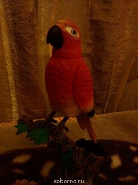 Завалинка - 2012-04-01 21.01.47.jpg