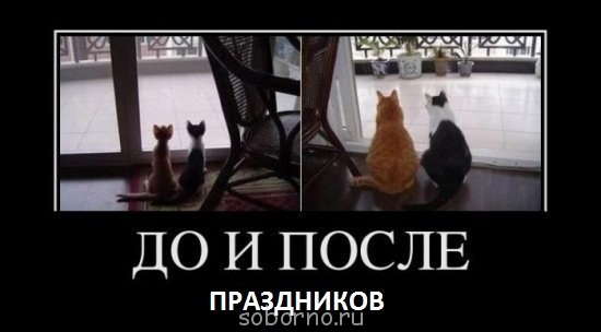 Завалинка - x_ebf3dcb5 (2).jpg