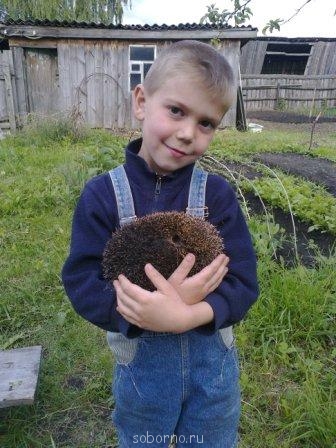 Рога и копыта, весёлая ЗоОфЛуДиЛьНя - Фото0848.jpg