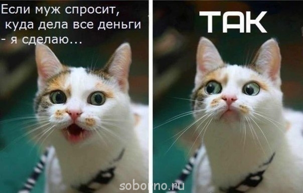 Они такие забавные смешные фото и видео  - qnWmrXUbnXM.jpg