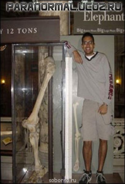 Кто хорошо знает Ветхий Завет - 15...jpg