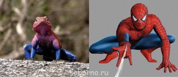 Рога и копыта, весёлая ЗоОфЛуДиЛьНя  - 531600_479695975424469_1731735590_n[1].jpg