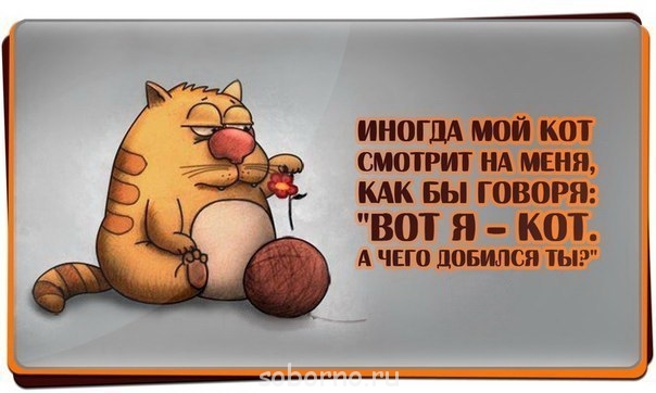 Рога и копыта, весёлая ЗоОфЛуДиЛьНя  - F_w5VW4NCt8[1].jpg