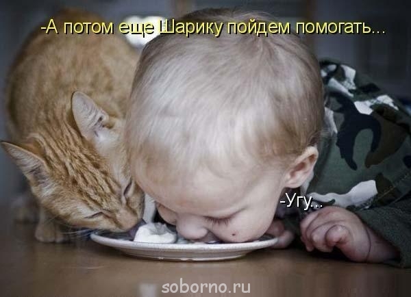 Рога и копыта, весёлая ЗоОфЛуДиЛьНя  - o1XVM3BPbm0[1].jpg