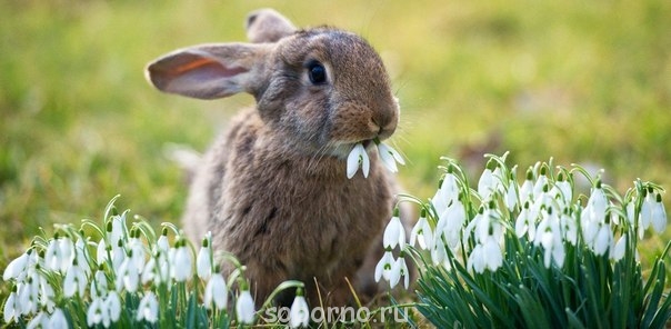 Доброе утро и Спокойной ночи  - H-JoAcInZeI.jpg
