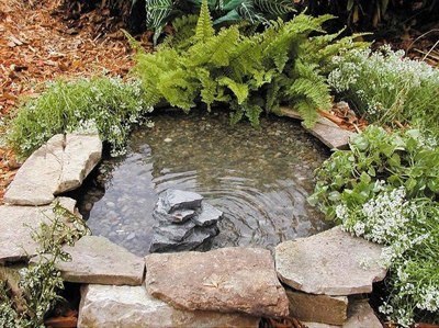 Наша дача и приусадебный участок - 10.jpg