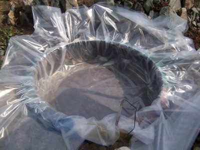 Наша дача и приусадебный участок - 12.jpg