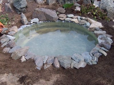 Наша дача и приусадебный участок - 15.jpg