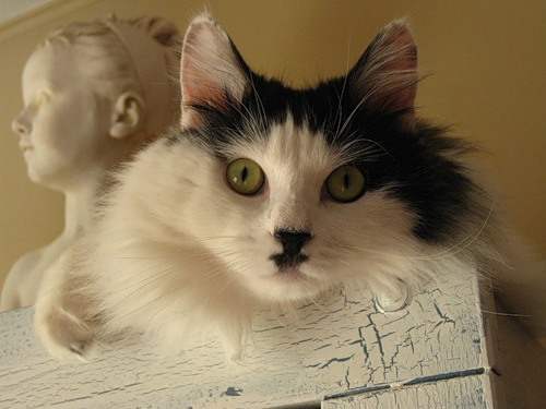 Интересное в интернете - 0_6bde3_a20100a1_L.jpg