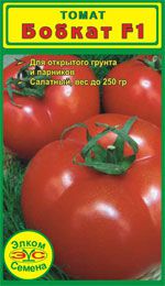 Про семена - 537_544.jpg