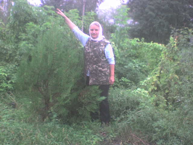 Наша дача и приусадебный участок - DSC00039.JPG