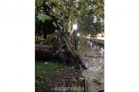 Каждая погода - благодать... - image.jpg