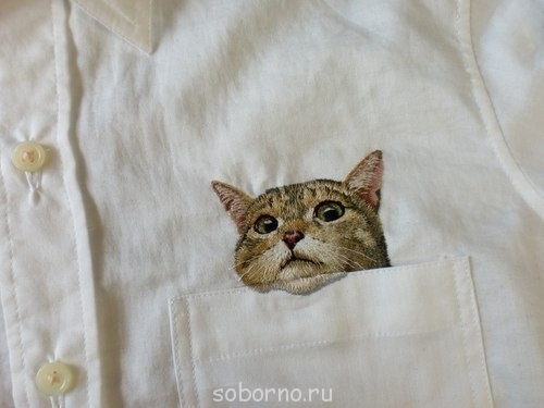 Завалинка - image.jpg