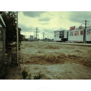 Каждая погода - благодать... - image.jpg