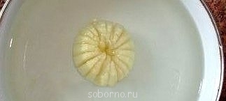 ЗАСТОЛЬЕ: сервировка, этикет, интересные идеи - image.jpg