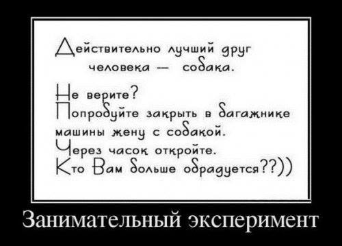 Как в том анекдоте... - 1375172_626012914118384_791277686_n.jpg
