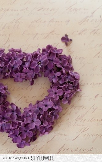 Доброе утро и Спокойной ночи - сирень.jpg