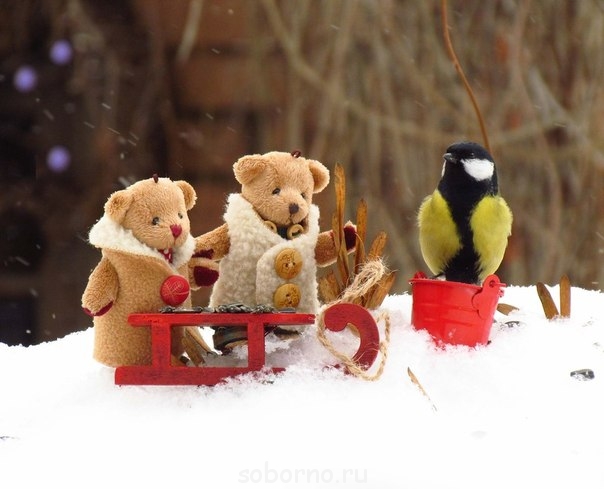 Добрые картинки - 0XzCEyZjLvc.jpg