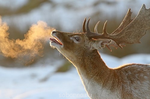 Доброе утро и Спокойной ночи  - wukHT_nWH6Q.jpg