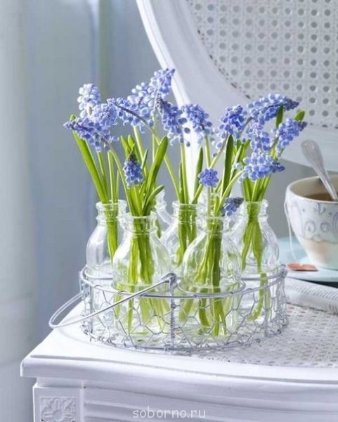 Доброе утро и Спокойной ночи  - TrqigJ3pa3w.jpg