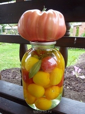 Юмор на закуску - image.jpg