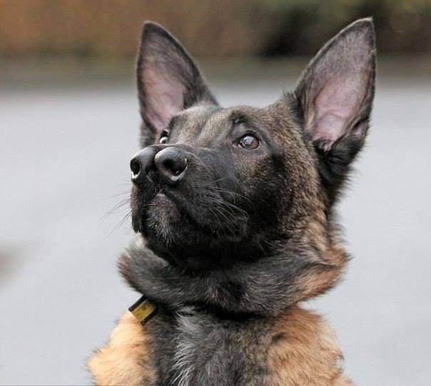 Всякая всячина - 1924581_463914870377351_779837320_n.jpg