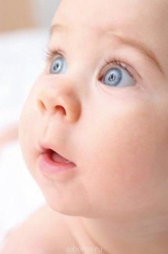 Мои радости -2 - image.jpg