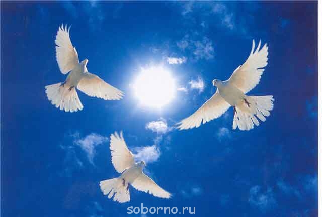 Прощенное воскресенье - image.jpg