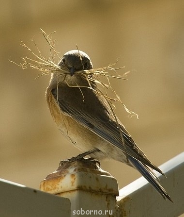 Доброе утро и Спокойной ночи  - -Y09gBDemKA.jpg
