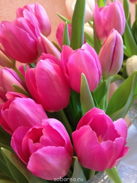 Доброе утро и Спокойной ночи  - фотография (1).JPG