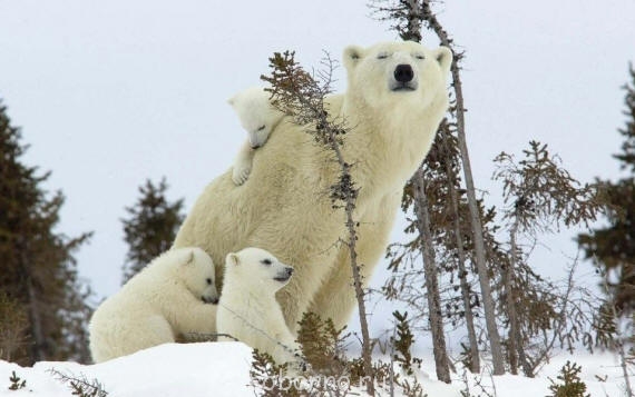 Добрые картинки - 283675_600.jpg