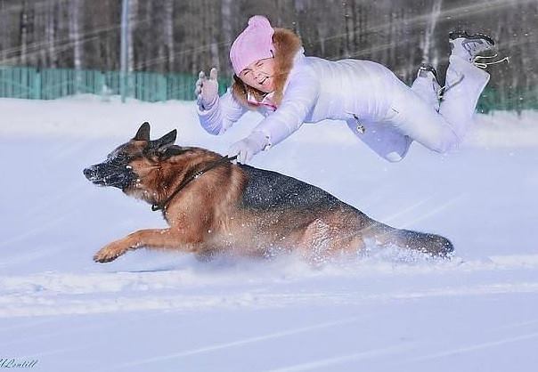 Они такие забавные смешные фото и видео  - 1044035_484369388314740_189276329_n.jpg