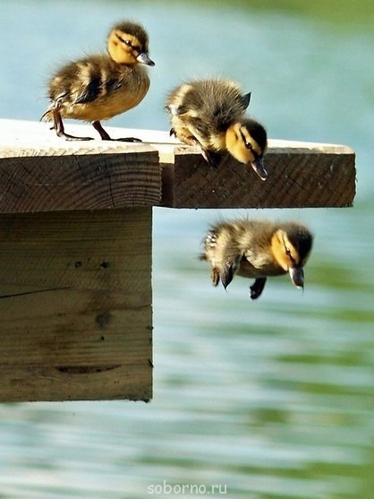 Добрые картинки - Y8GIGP4CxBU.jpg