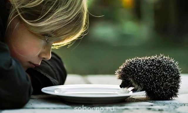 Добрые картинки - getImage (10).jpg